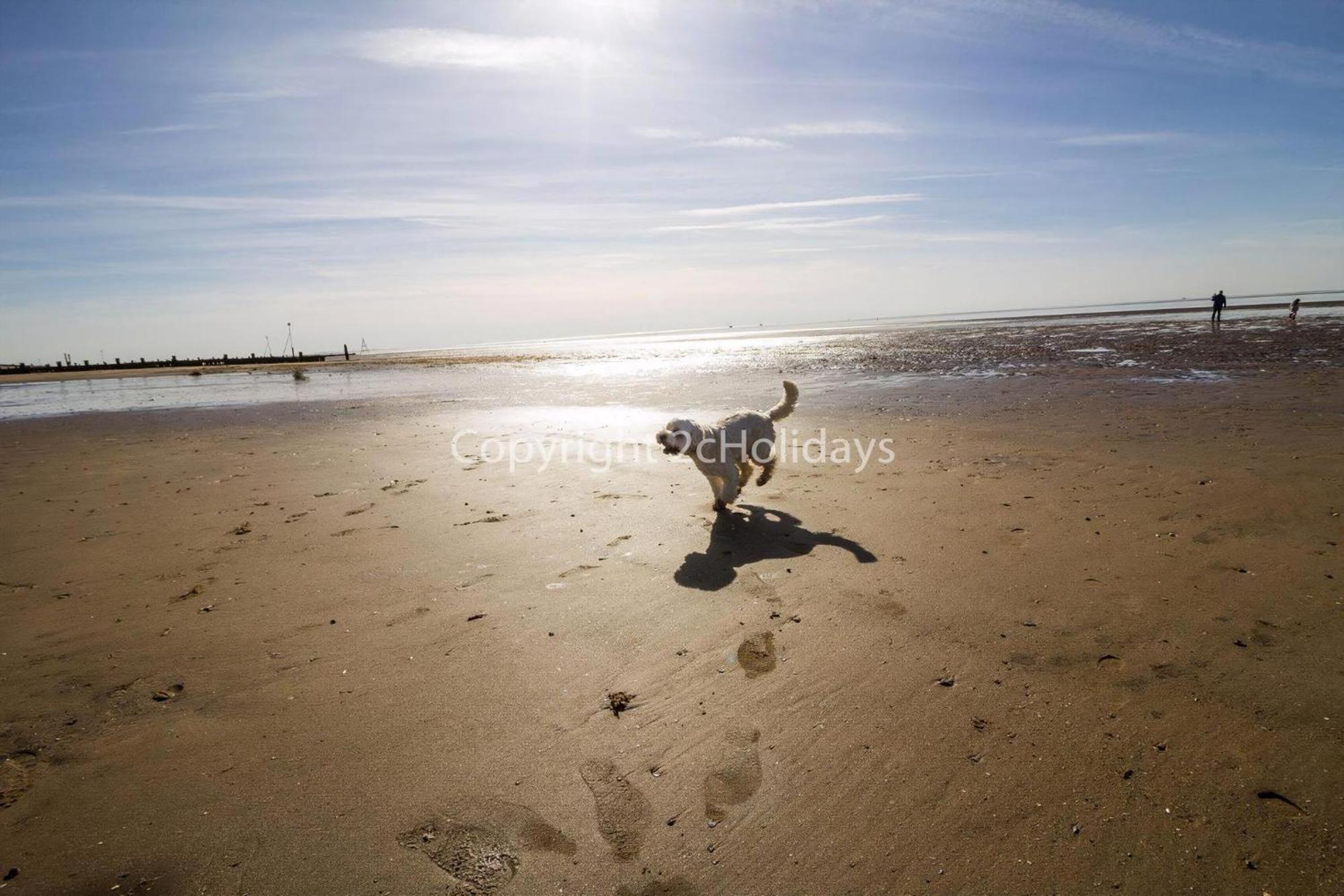 5 Berth Dog Friendly Lodge In Hunstanton By The Beach Ref 13015Rn Екстер'єр фото